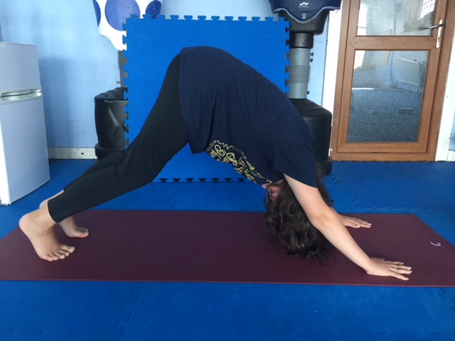 Yoga Asana Sequence for the Gentle Stretching of the Ankles ALAMBA YOGA